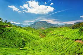 Munnar