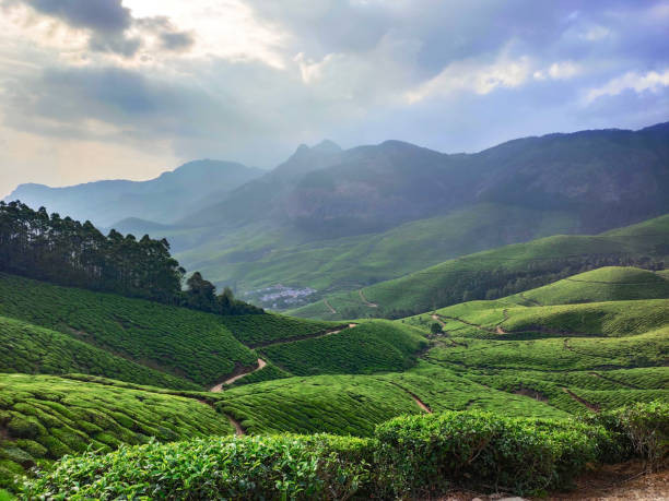 Munnar